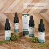 Collection Pure isolat Chanvre WeedStock